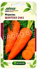 Морковь Шантенэ 2461