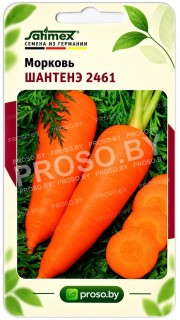 Морковь Шантенэ 2461