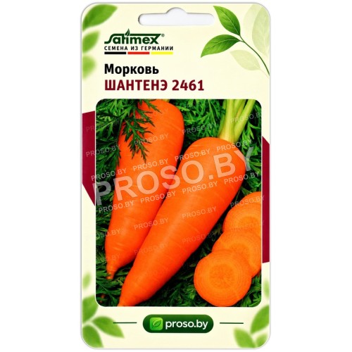 Морковь Шантенэ 2461