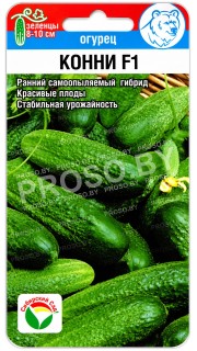 Огурец Конни F1
