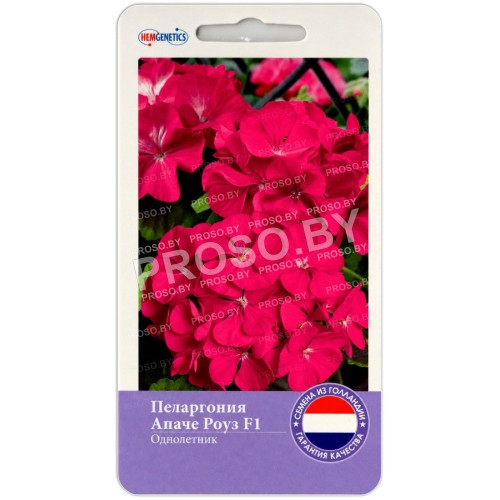 Пеларгония Апаче Роуз F1