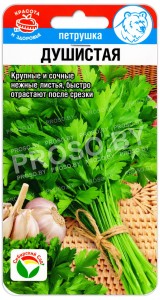 Петрушка Душистая