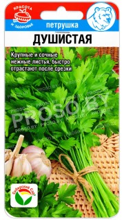 Петрушка Душистая