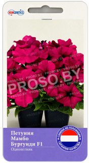 Петуния Мамбо Бургунди F1 (Hem Genetics)