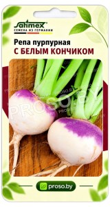 Репа пурпурная с белым кончиком