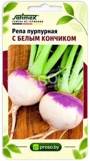 Репа пурпурная с белым кончиком