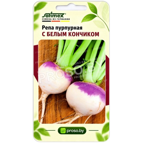 Репа пурпурная с белым кончиком