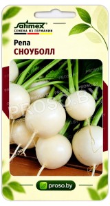 Репа Сноуболл