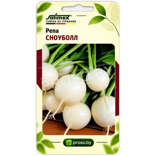 Репа Сноуболл