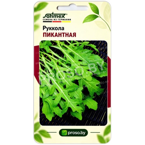 Руккола Пикантная