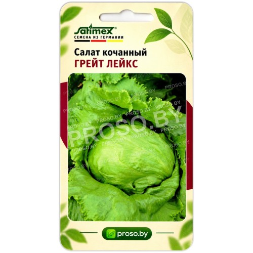 Салат кочанный Грейт Лейкс
