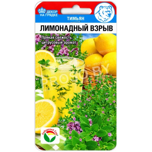 Тимьян Лимонадный взрыв