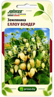 Земляника Еллоу Вондер
